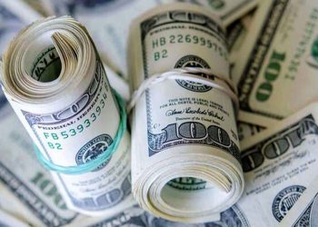 احتمال رشد قیمت دلار تا 330 هزار تومان وجود دارد / اقدامات بانک مرکزی در بازار ارز و تتر دلار را متوقف کرده است